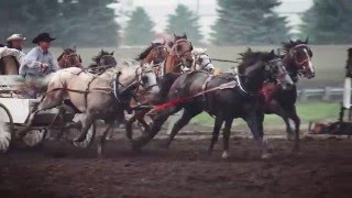 MANDAN RODEO - JULY 2-4