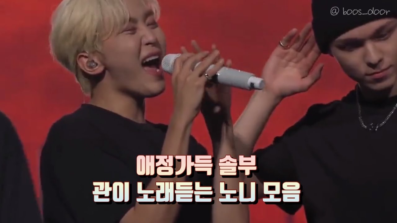 [ 솔부 | Verkwan ] 🥑🍊 노래하는 과니를 보는 노니 눈빛 모음 📁📎