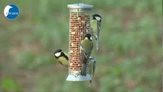 Vivara Pindasilo Metaal 23 Cm Zilver 30021