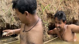 এর নম কই মছ