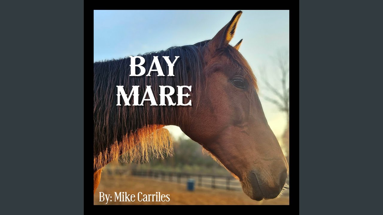 Bay Mare