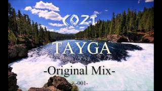 Dj O.s.v - Tayga (Original Mix)