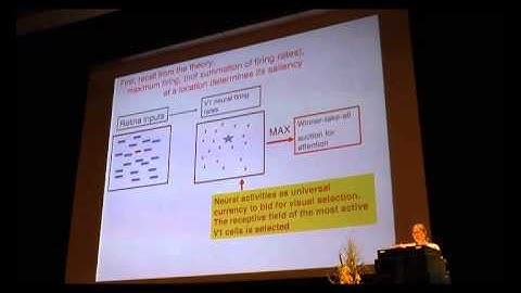A functional role of the primary visual cortex (V1): a bottom-up saliency map to guide attention
