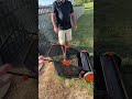 Vevor Lawn Sweeper picks up leaves, pine straw, pinecones dog mess
