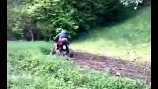 Bashan in the mud
