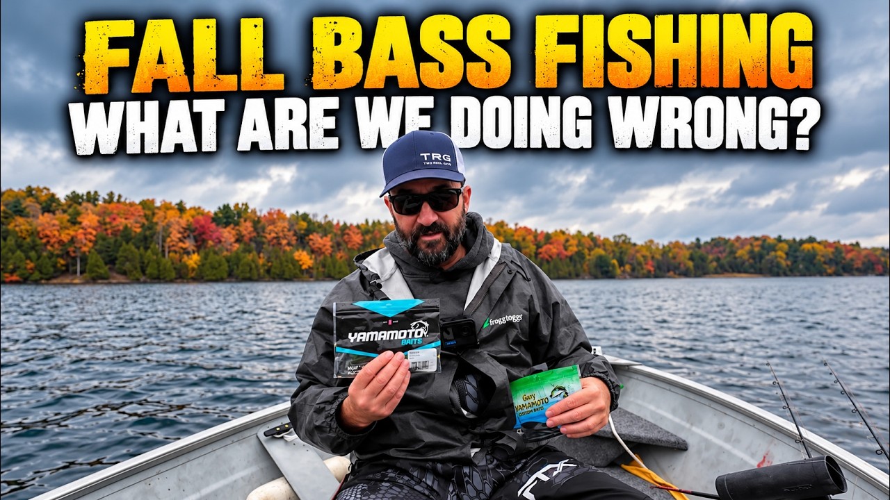 Why Can't We Catch Bass Anymore? Fall Bass Fishing!