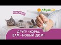 Прямая трансляция розыгрыша призов от компании «Мария-Ра»