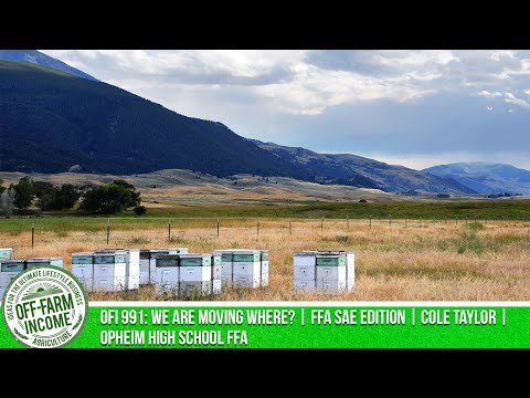 OFI 991: We Are Moving Where? | FFA SAE Edition | Cole Taylor | Opheim High School FFA