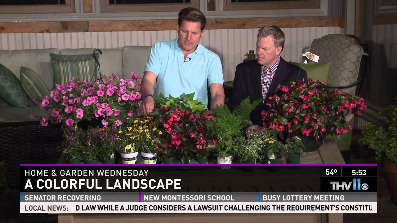 A colorful landscape - YouTube