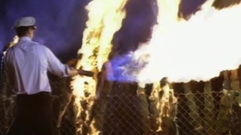 人類SOS！ トリフィドの日　THE DAY OF THE TRIFFDS  盲目となった人類に人喰い植物が襲い掛かる！60年代のSF特撮映画　DVDは 日本語吹替収録版