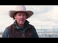 The Te Pari Taurus Cattle Crush