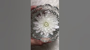 Thumbnail of Lemurian Water Alchemy 💎