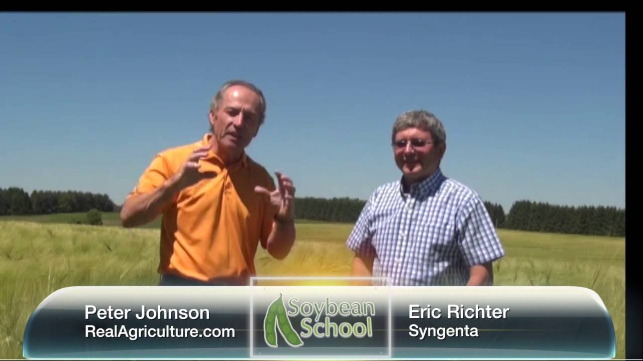 Soybean School: Five Keys to Double Crop Success