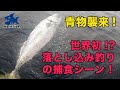 世界初!?最強の釣り、落とし込み釣りの仕掛けにGoProつけて撮影してみた