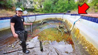Saving FISH from ABANDONED POOL! (Rescue Mission)