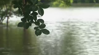 Watch Live: Harris County officials to give update on flooding impact and resources