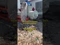it must can help you!!this video!!