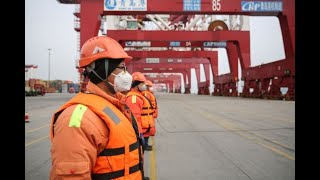 Fichte & Co Webinar - COVID-19 and Shipping Industry