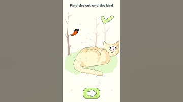 Find the Cat and the Bird #dop2 #shorts