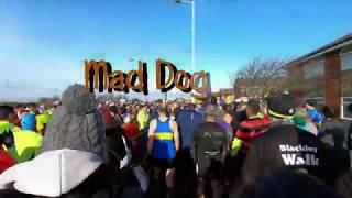 MAD DOG 10K 2019 screenshot 5