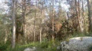 Faudel - Ne Me Quitte Pas