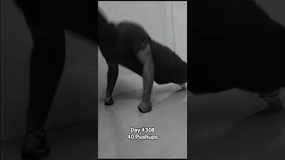 Day 308 of doing Pushups #pushups #mission #exercise #discipline
