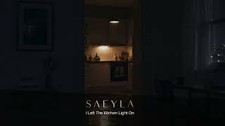 Saeyla I Left The Kitchen Light On Emotional Indie Pop Indie Rock