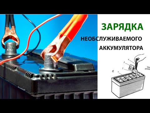 Video: Жылтыратуучу машина: эксцентрдик тегирмендин жана жылтырактын өзгөчөлүктөрү. Батарея, пневматикалык жана орбиталык моделдердин мүнөздөмөсү. Кантип тандоо керек?