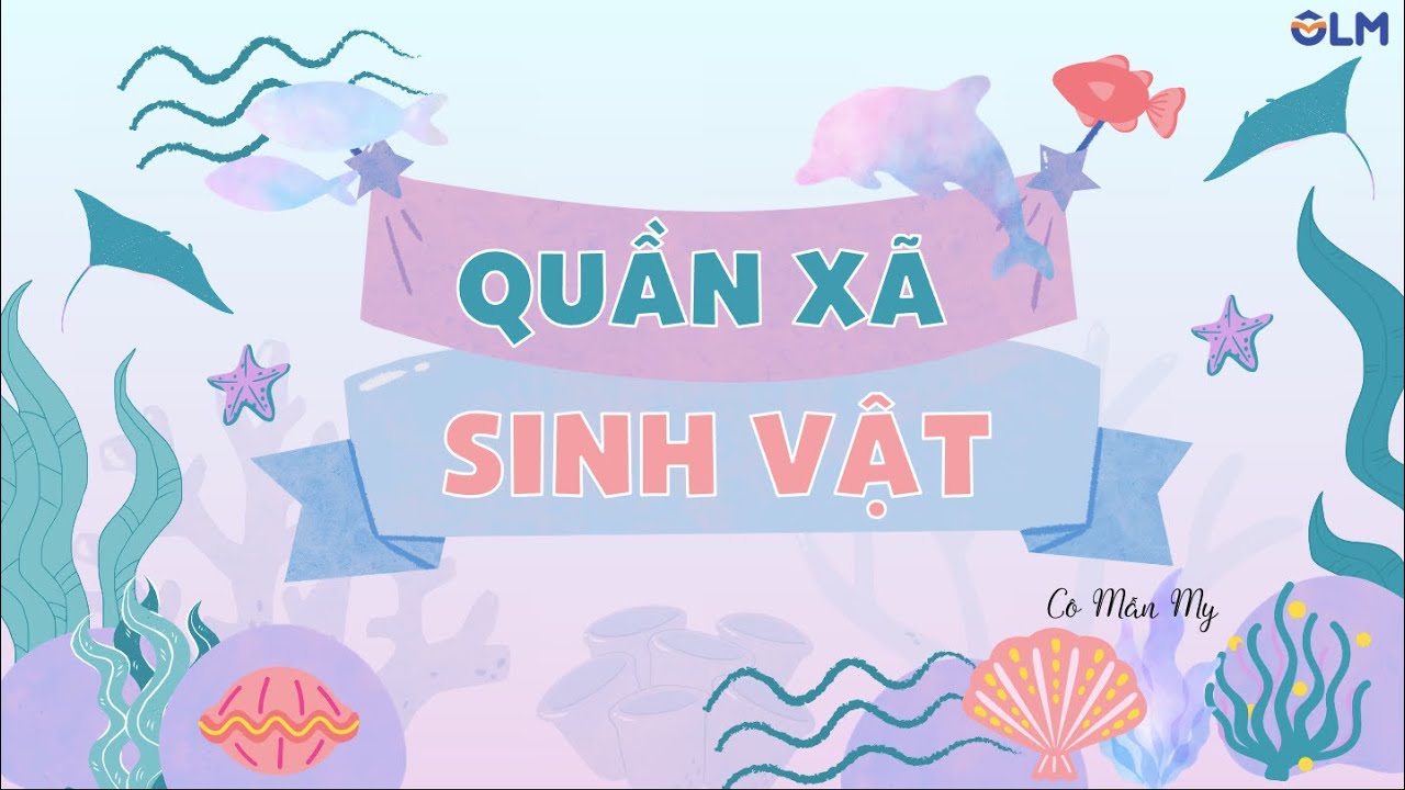Quần xã sinh vật - Khoa học tự nhiên 8 - OLM.VN