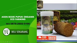 WA 0879 2600 5190 Agen Eco Farming Kutai Kartanegara | Jual Eco Farming di Kutai Kartanegara