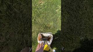 Yard Maintenance: Barefoot Test