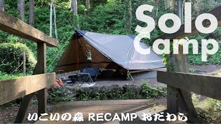 【ソロ】小田原 海の幸キャンプ