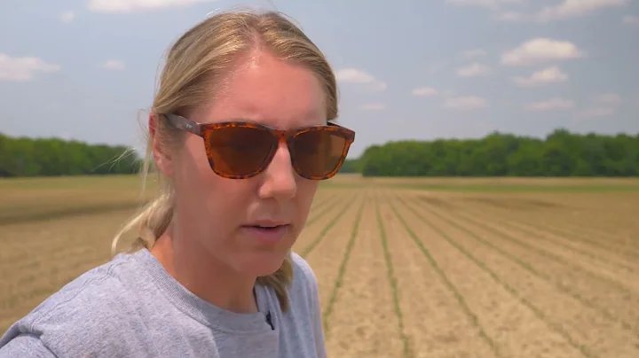 Top Crop | Episode 4 Promo