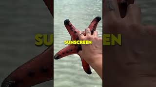 ⭐ Selfies With Starfish Are Dangerous 😳