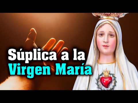 Supplication to the Virgin Mary - Prayer. #goodnightwithmary #virginmary