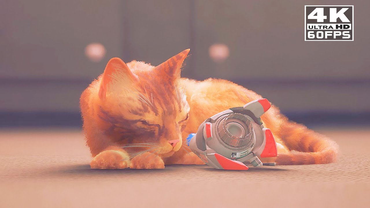 B-12 Death Scene - Stray Game Clip in 4K HDR 60fps