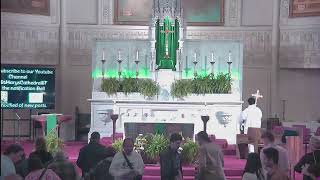 Eleventh Sunday in Ordinary Time 常年期第十一主日 26 Old St Mary's Cathedral, SF.