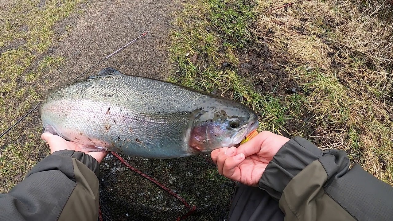 Brejnholm put and take