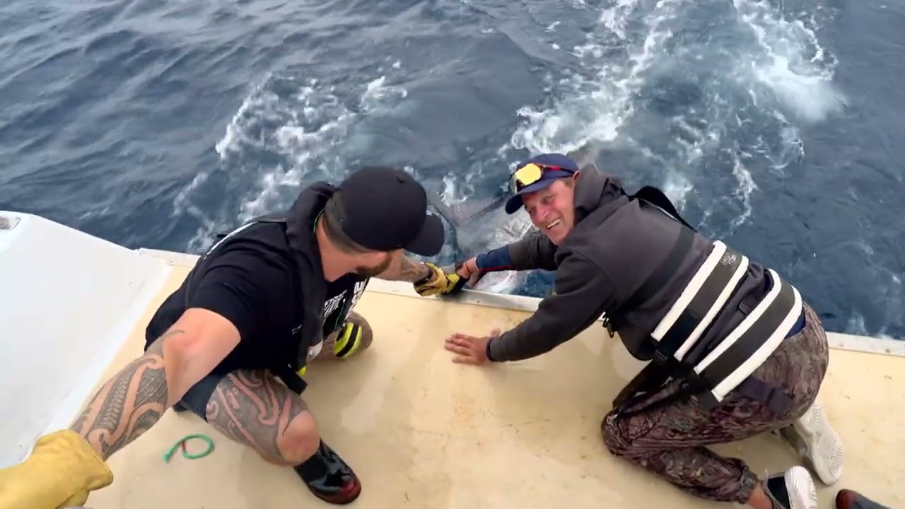 Moon Tide Fishing Grass Roots | Ep 11 - 3 Kings Kingi