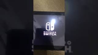 Nintendo Switch Boot Up