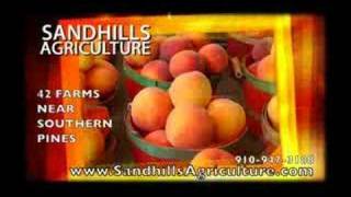 Sandhills Agriculture Theater Ad #1