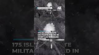 Famous 175 Islamic State militants killed in joint U.S.-Nigerian strikes Net Worth