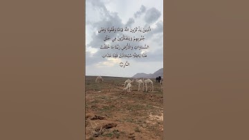 تلاوه محمد ايوب ﴿إِنَّ في خَلقِ السَّماواتِ وَالأَرضِ وَاختِلافِ اللَّيلِ وَالنَّهارِ لَآياتٍ