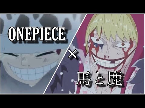 Mad Onepiece 馬と鹿 ロー コラソン Youtube