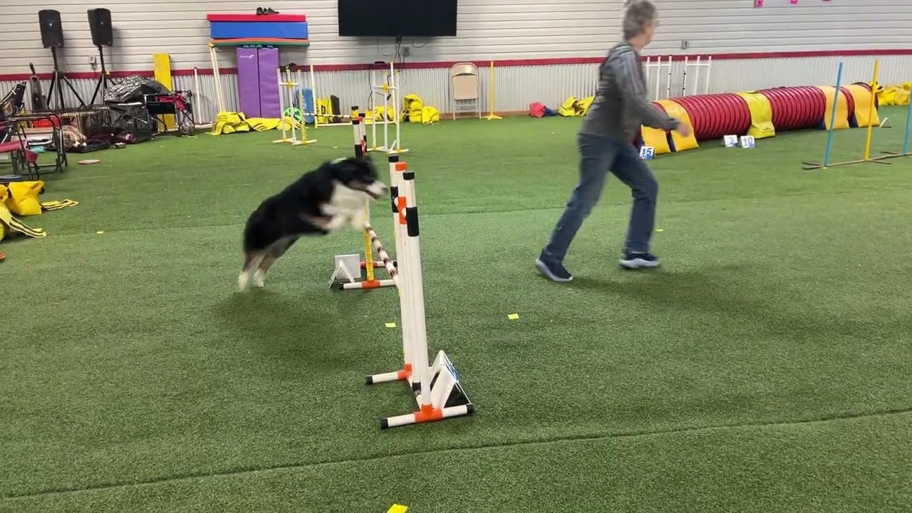 UKI Home Trial 60 40, 5th-16th February 2026, Jumping 2, Kiwi