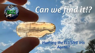 Can we find it!? | Hunting the ELUSIVE Iris Agate!! | Cutting Montana Agates