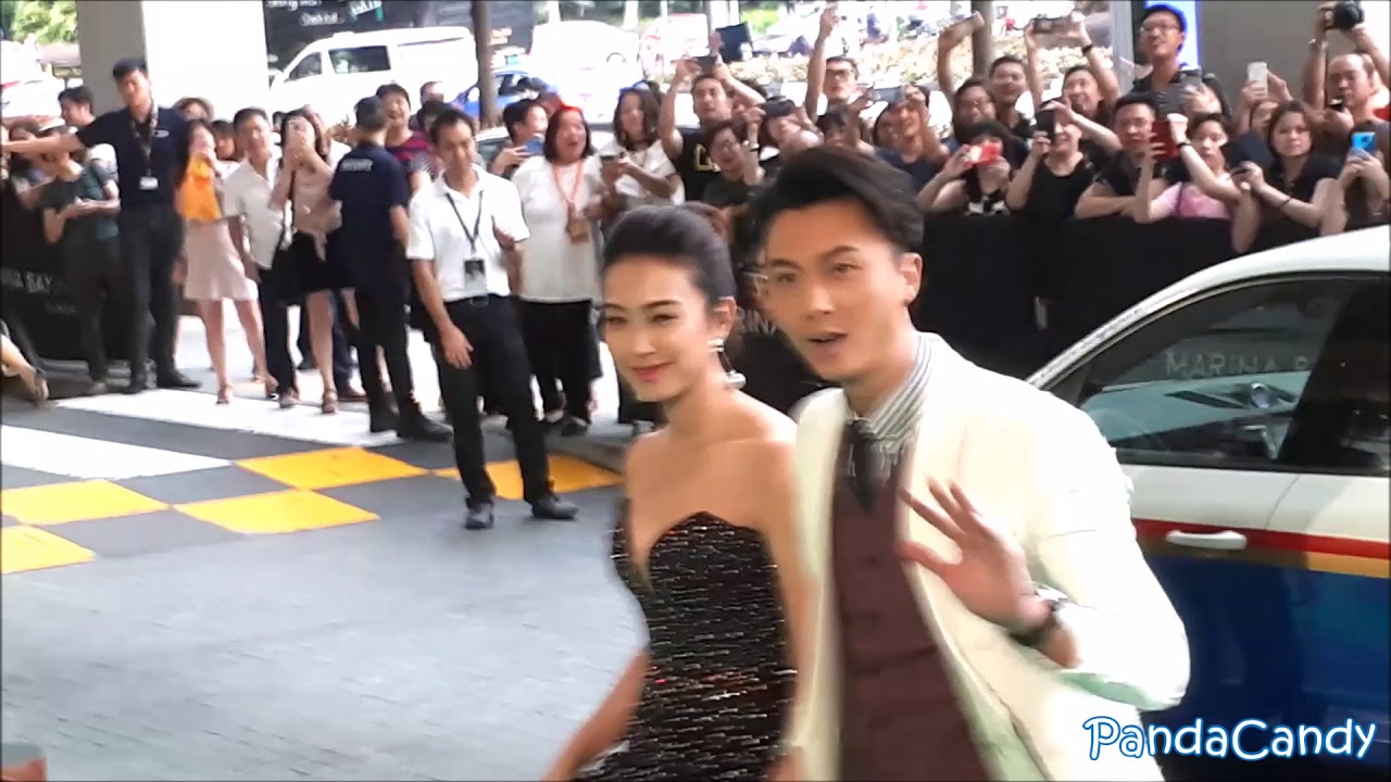 Starhub TVB Awards 星和无线电视大奖 2017 Red Carpet #12