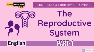 The Reproductive System Part-1 | ICSE | Class 10 | Biology | Chapter-13 | screenshot 4