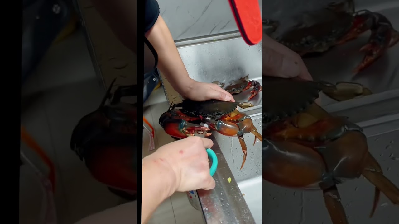 Live crabs  Cooking 🦀 