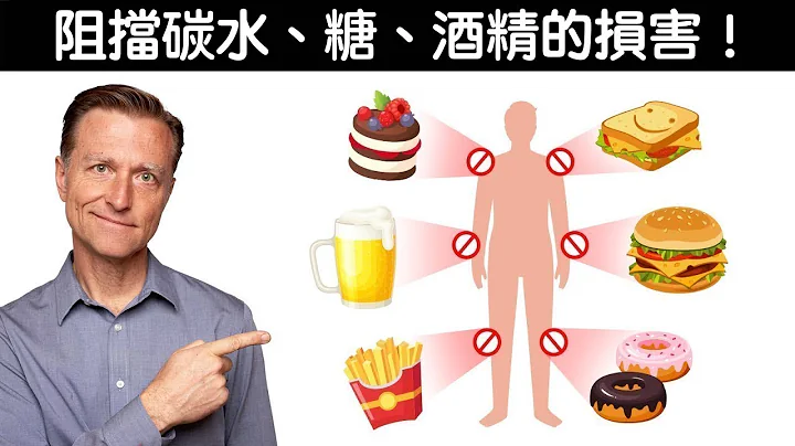 抵销吃太多糖碳水,酒精,药物的损害,保护肝的营养素,自然疗法,柏格医生 Dr Berg - 天天要闻